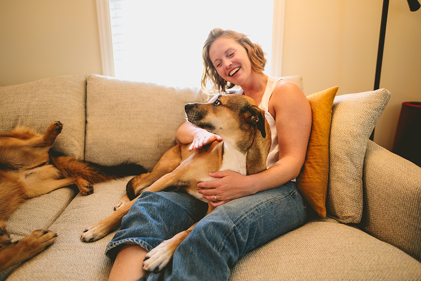 Pet portraits at home with family in Durham NC