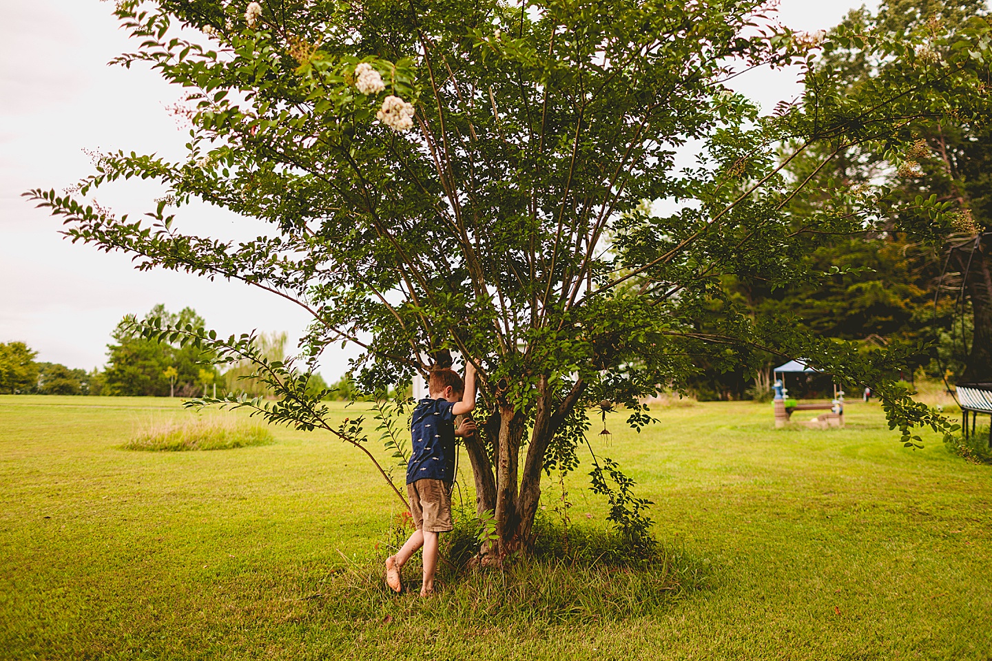 Kid climbing up tree