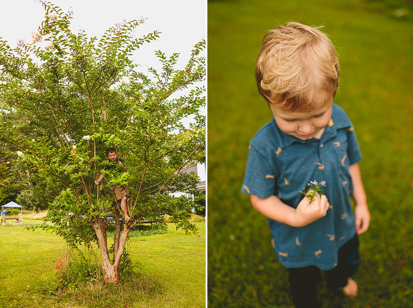 Kid climbing up tree and a child holding flowers