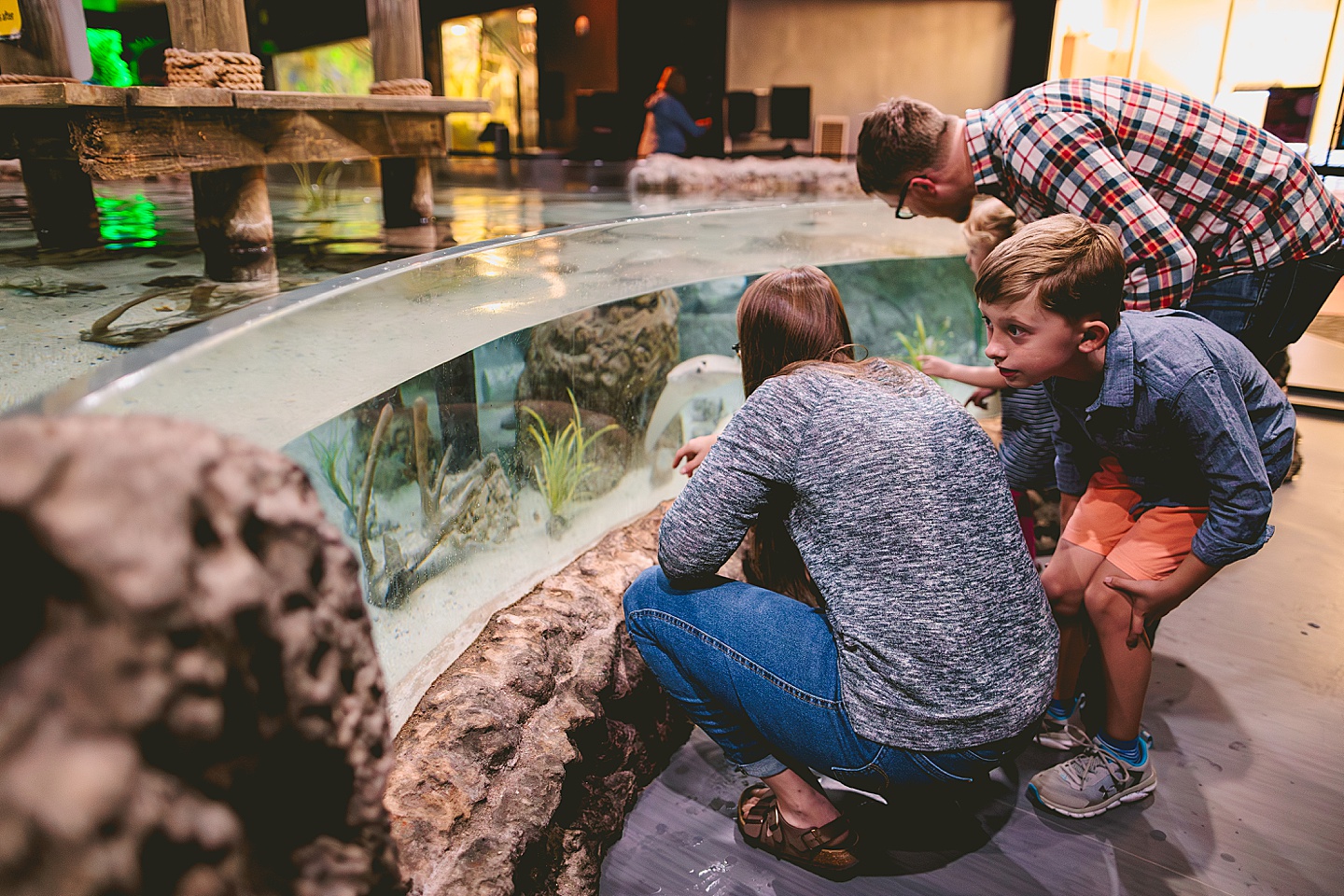 Stingrays at Greensboro Science Center