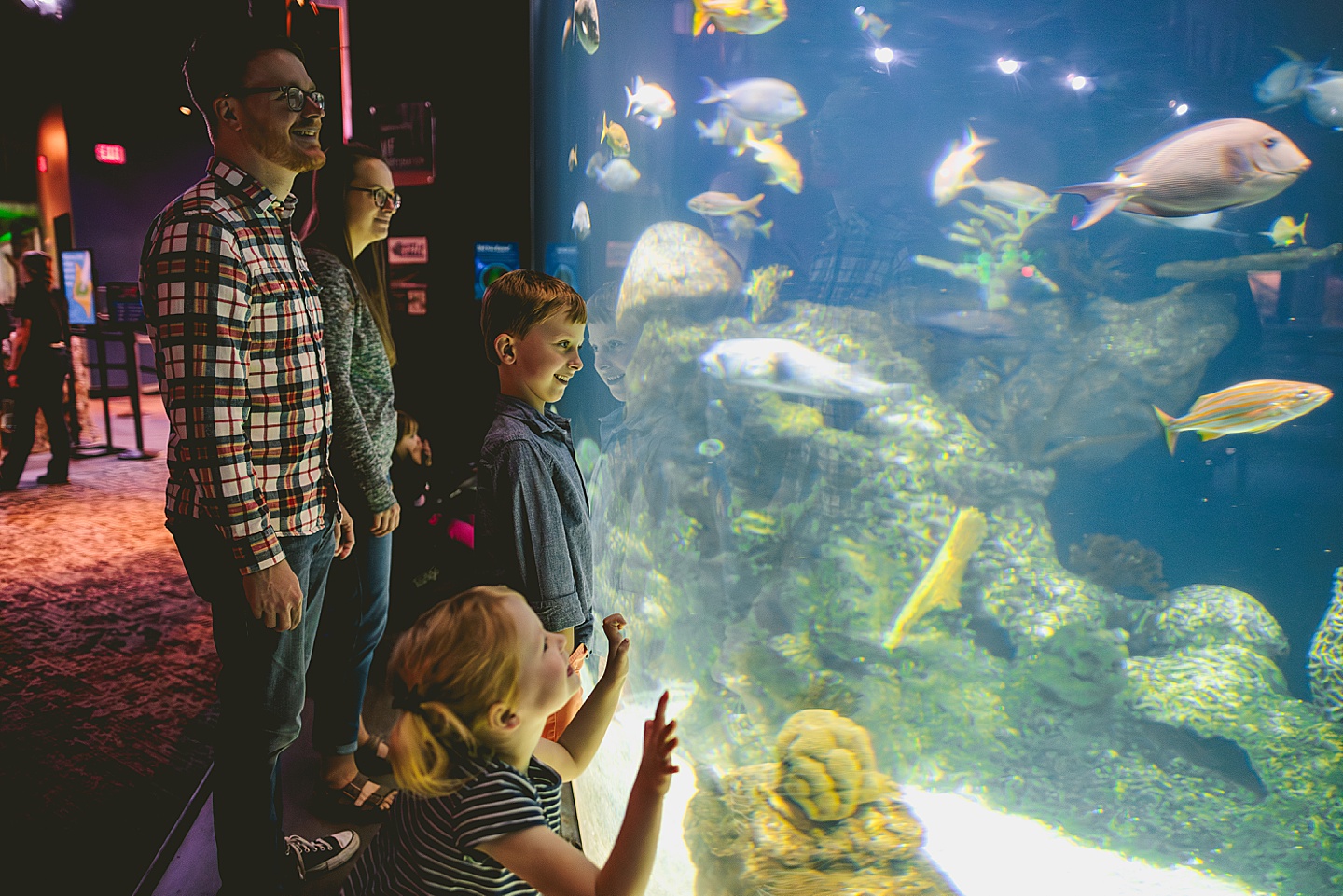 Fish tank at Greensboro Science Center