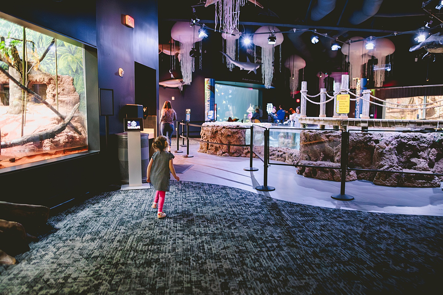 Kids exploring Greensboro Science Center