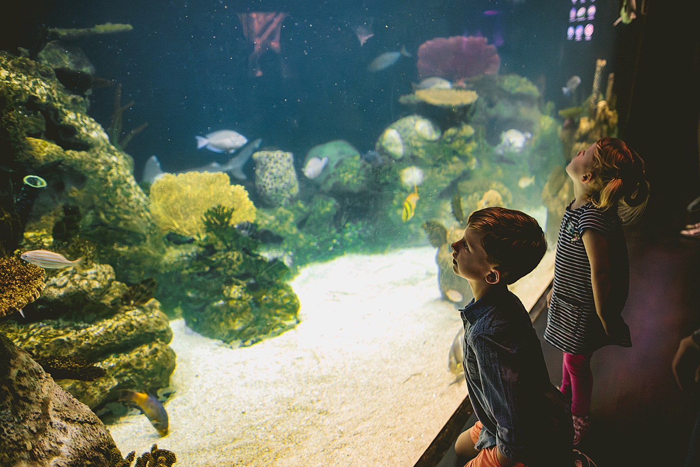 Kids exploring Greensboro Science Center