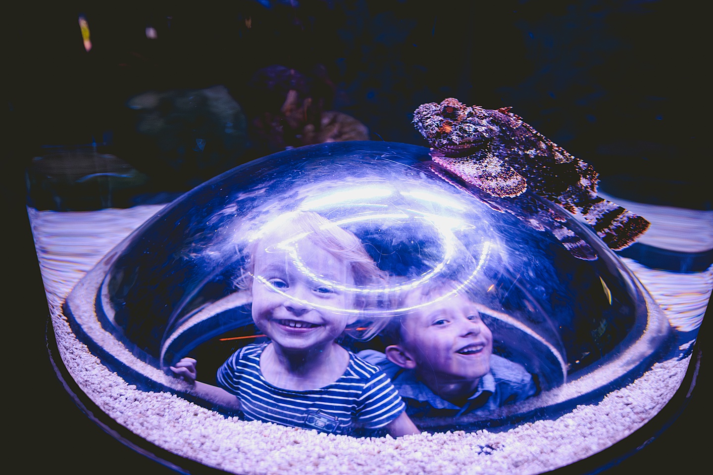 Kids exploring Greensboro Science Center