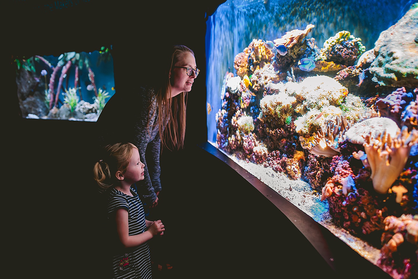 Kids exploring Greensboro Science Center