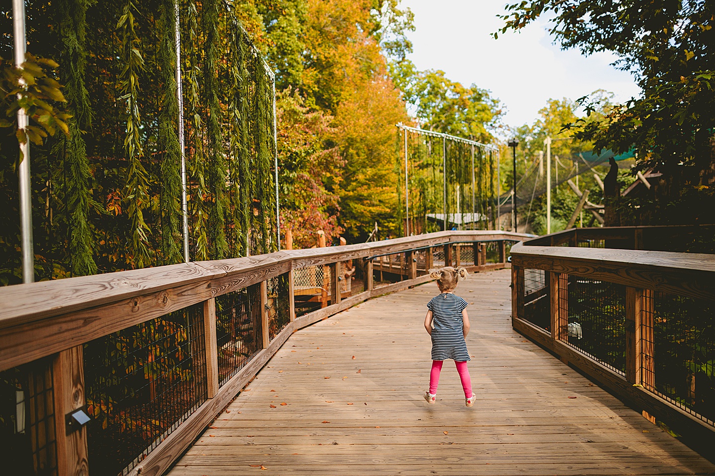 Greensboro Family Photographer