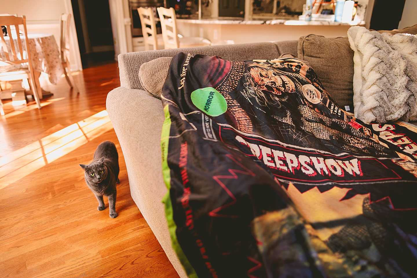 Cat walking past couch with a Creepshow blanket on it