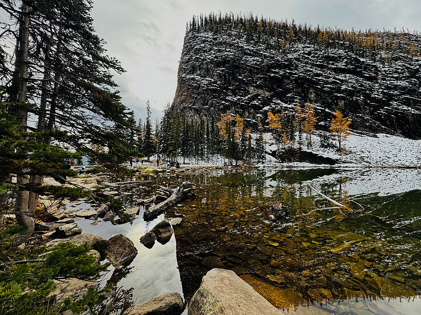 Family Photographer - Banff National Park
