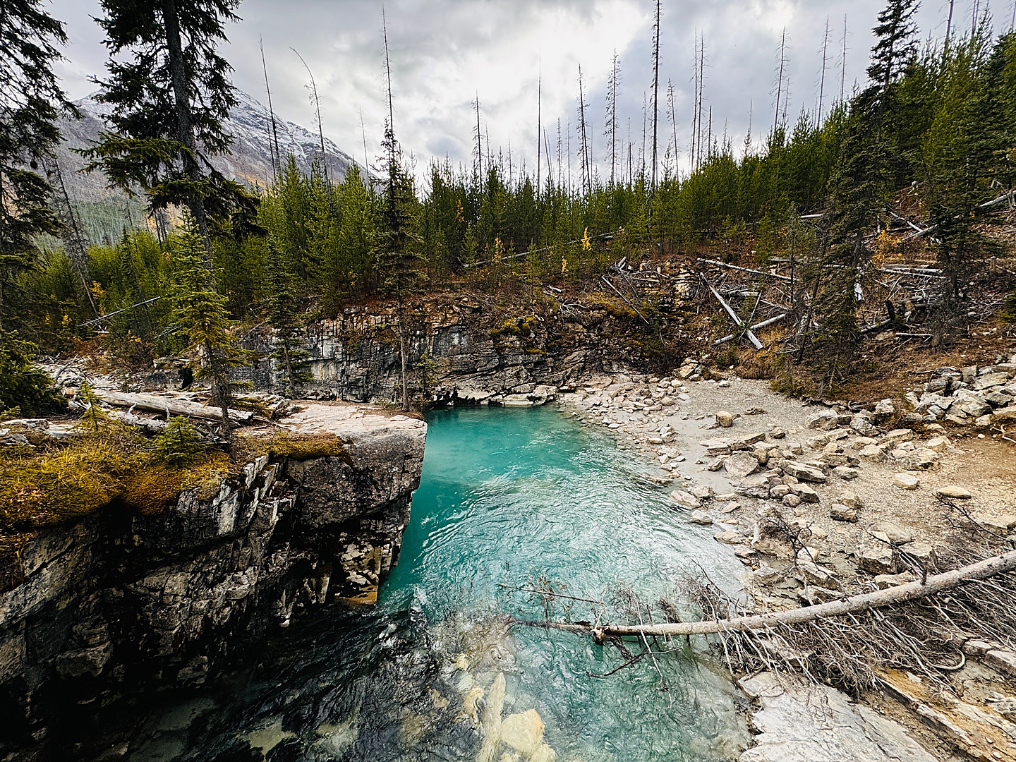 Family Photographer - Banff National Park