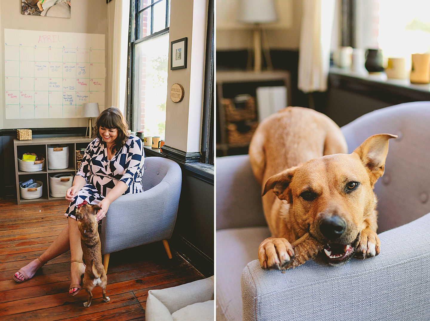 Branding Photographer - Big Dog Little Bed // Durham Small Business Photography