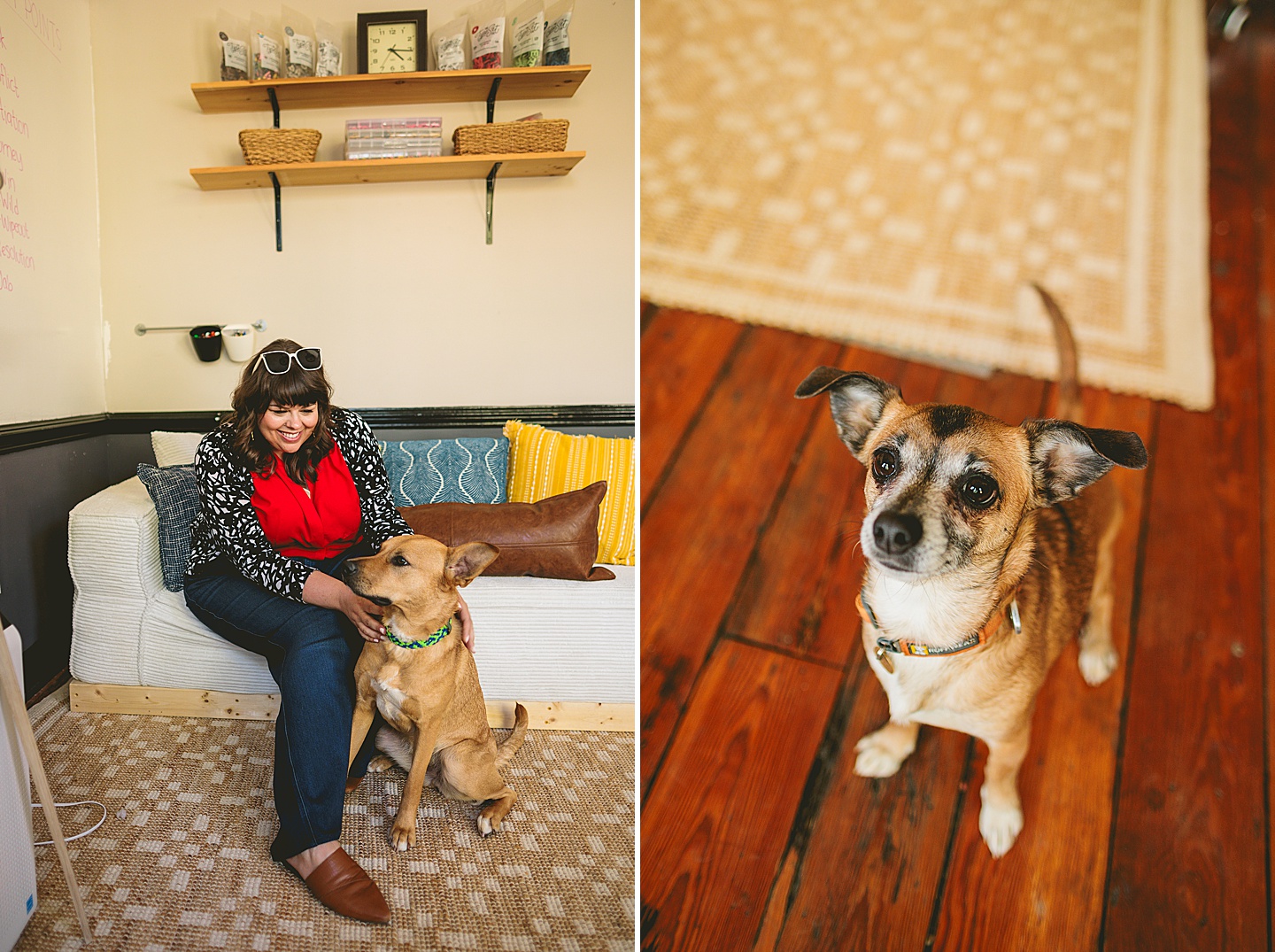 Branding Photographer - Big Dog Little Bed // Durham Small Business Photography