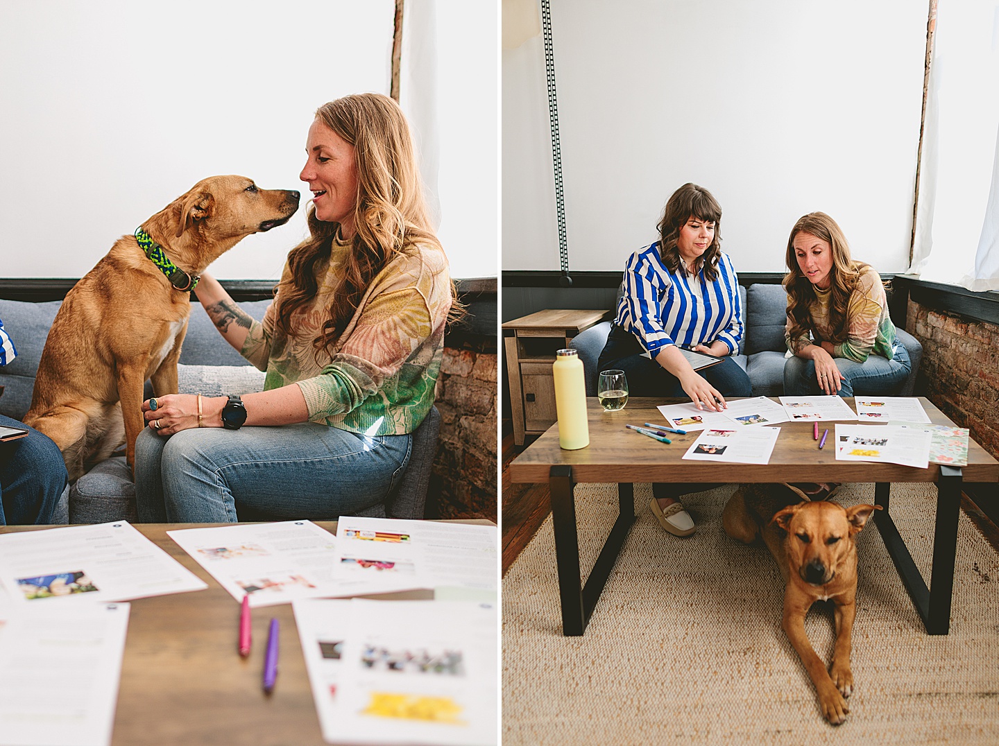 Branding Photographer - Big Dog Little Bed // Durham Small Business Photography