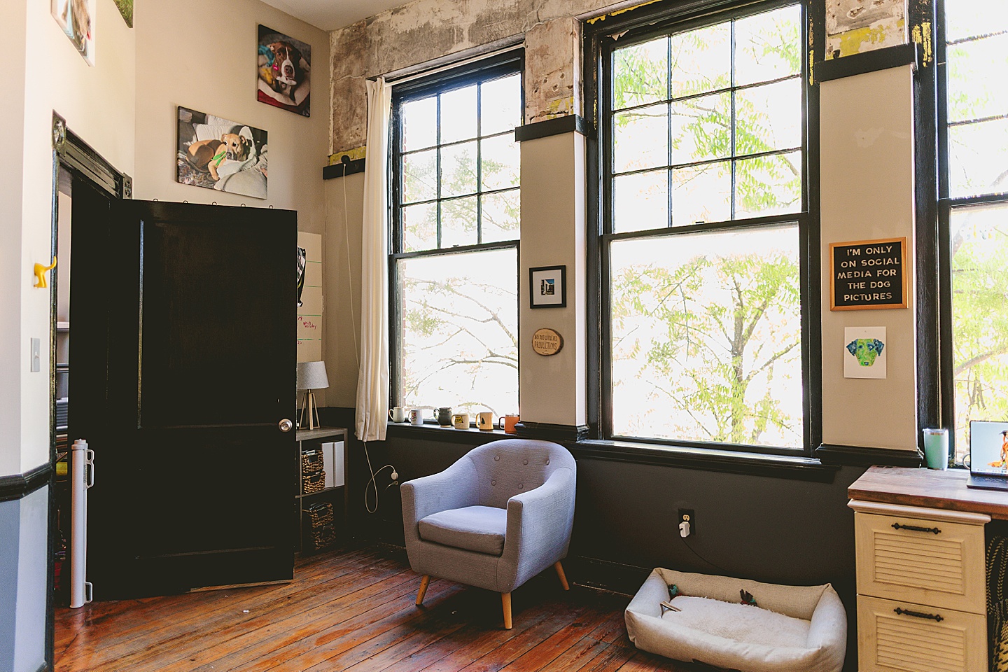 Branding Photographer - Big Dog Little Bed // Durham Small Business Photography