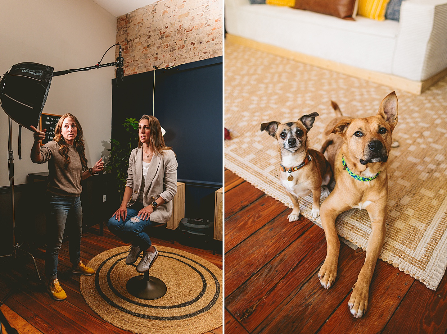 Branding Photographer - Big Dog Little Bed // Durham Small Business Photography