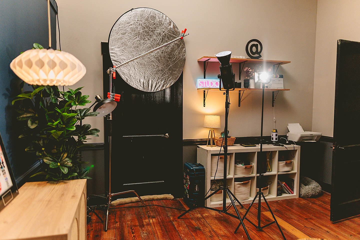 Branding Photographer - Big Dog Little Bed // Durham Small Business Photography