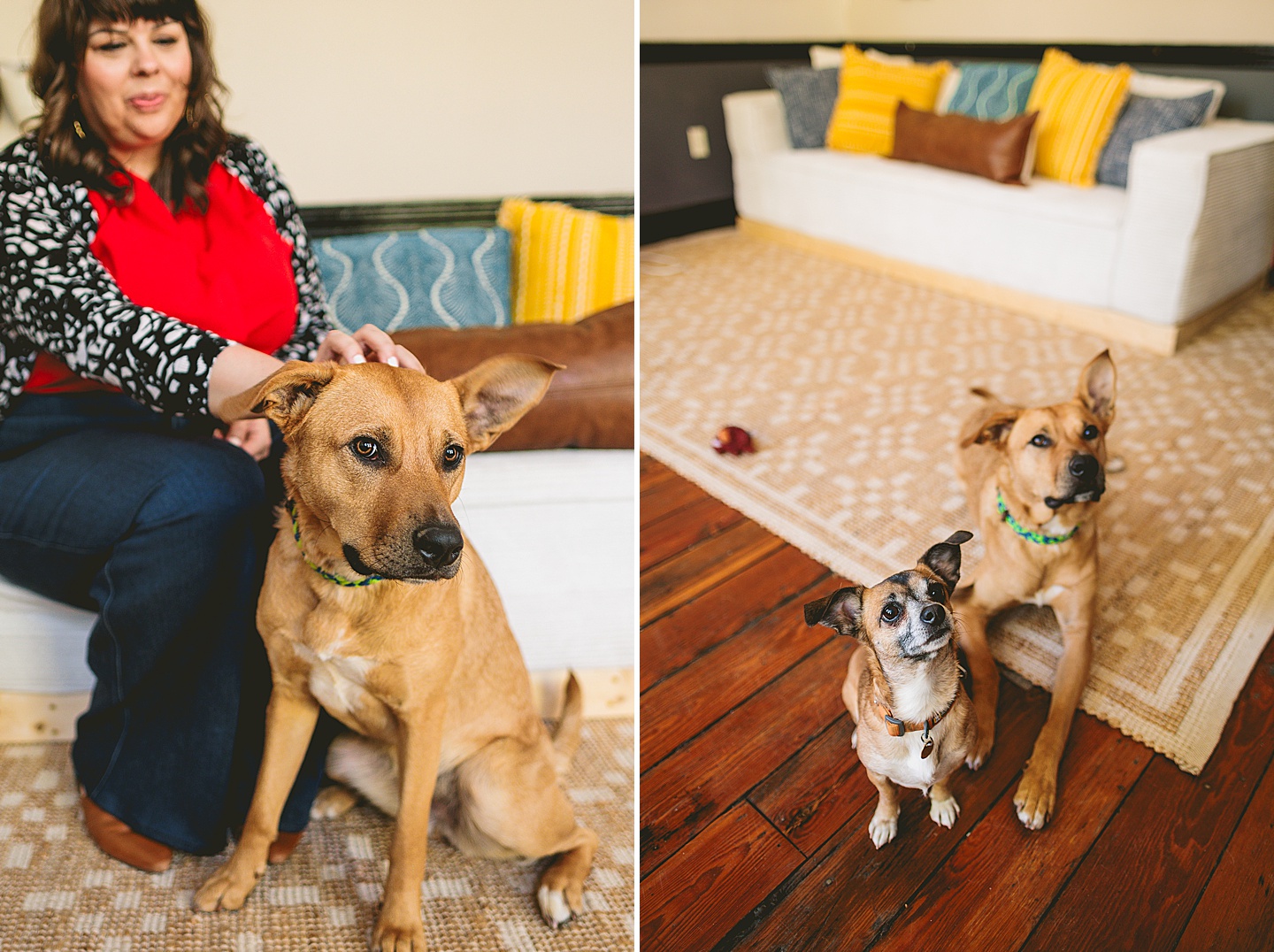 Branding Photographer - Big Dog Little Bed // Durham Small Business Photography
