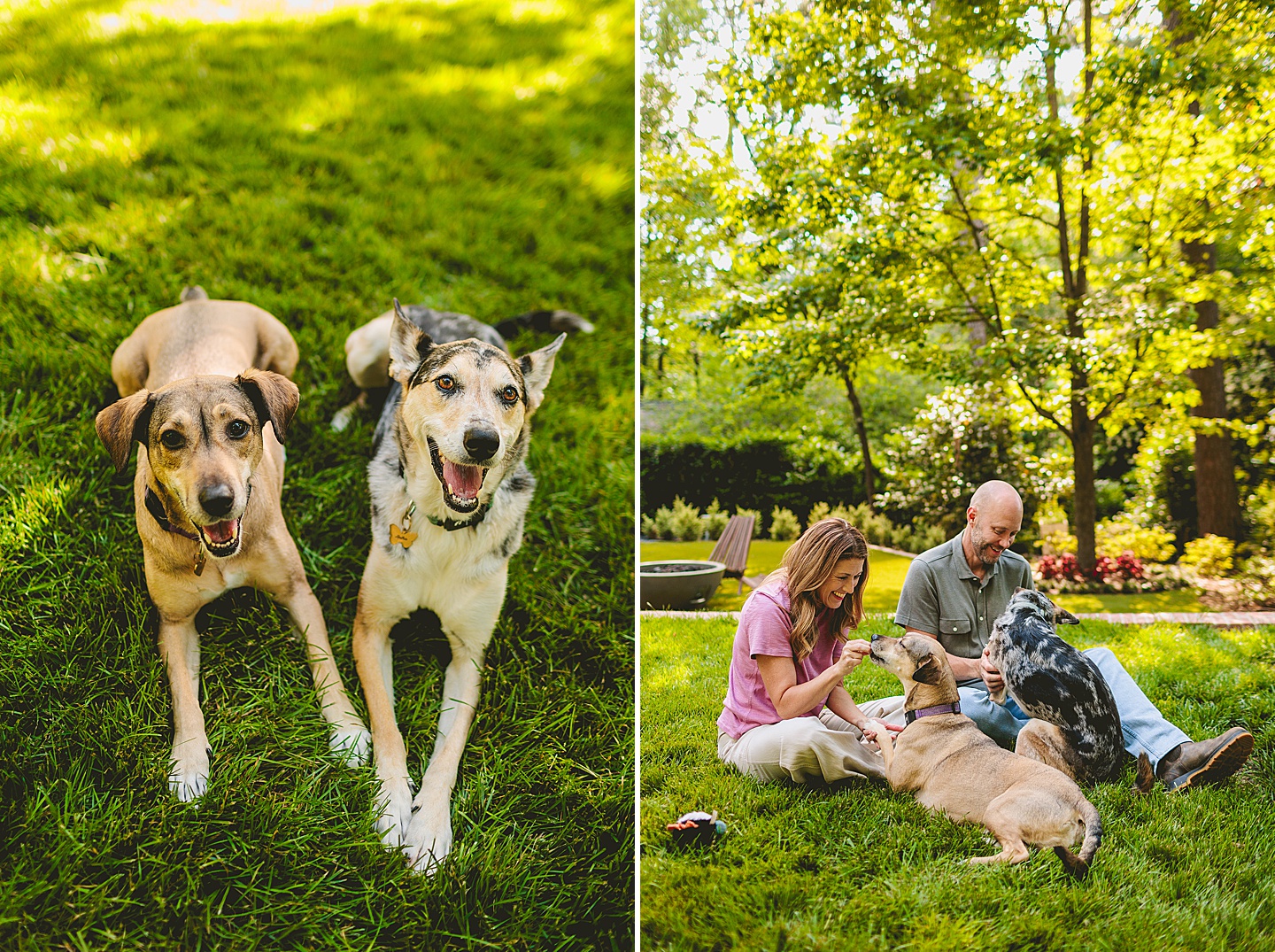 Family Photographer - Quentin + Lady // Backyard Garden Couple Session