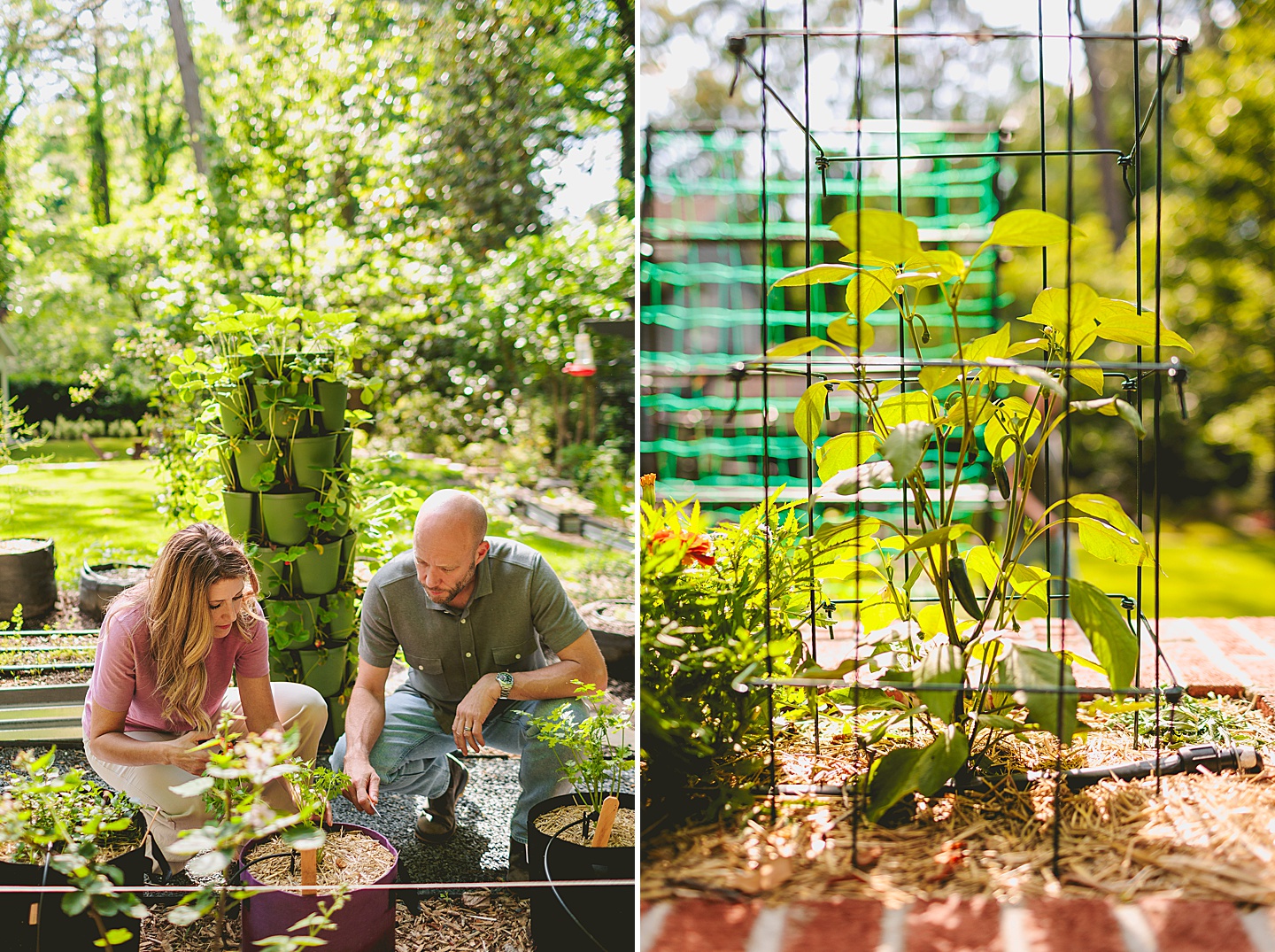 Family Photographer - Quentin + Lady // Backyard Garden Couple Session