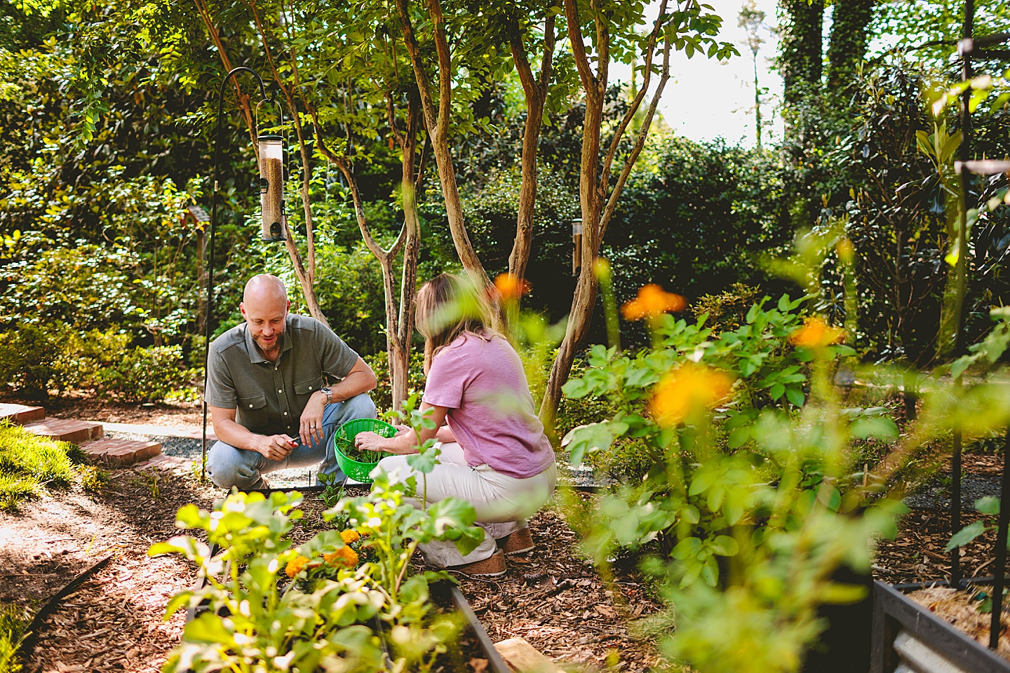 Family Photographer - Quentin + Lady // Backyard Garden Couple Session