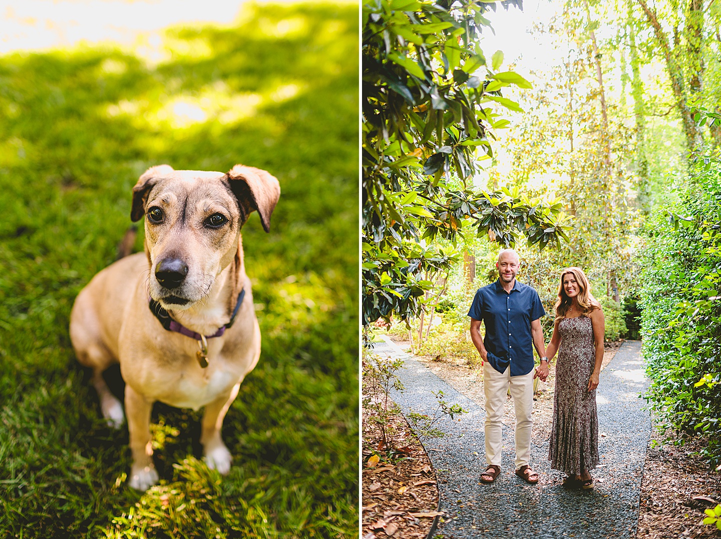 Family Photographer - Quentin + Lady // Backyard Garden Couple Session