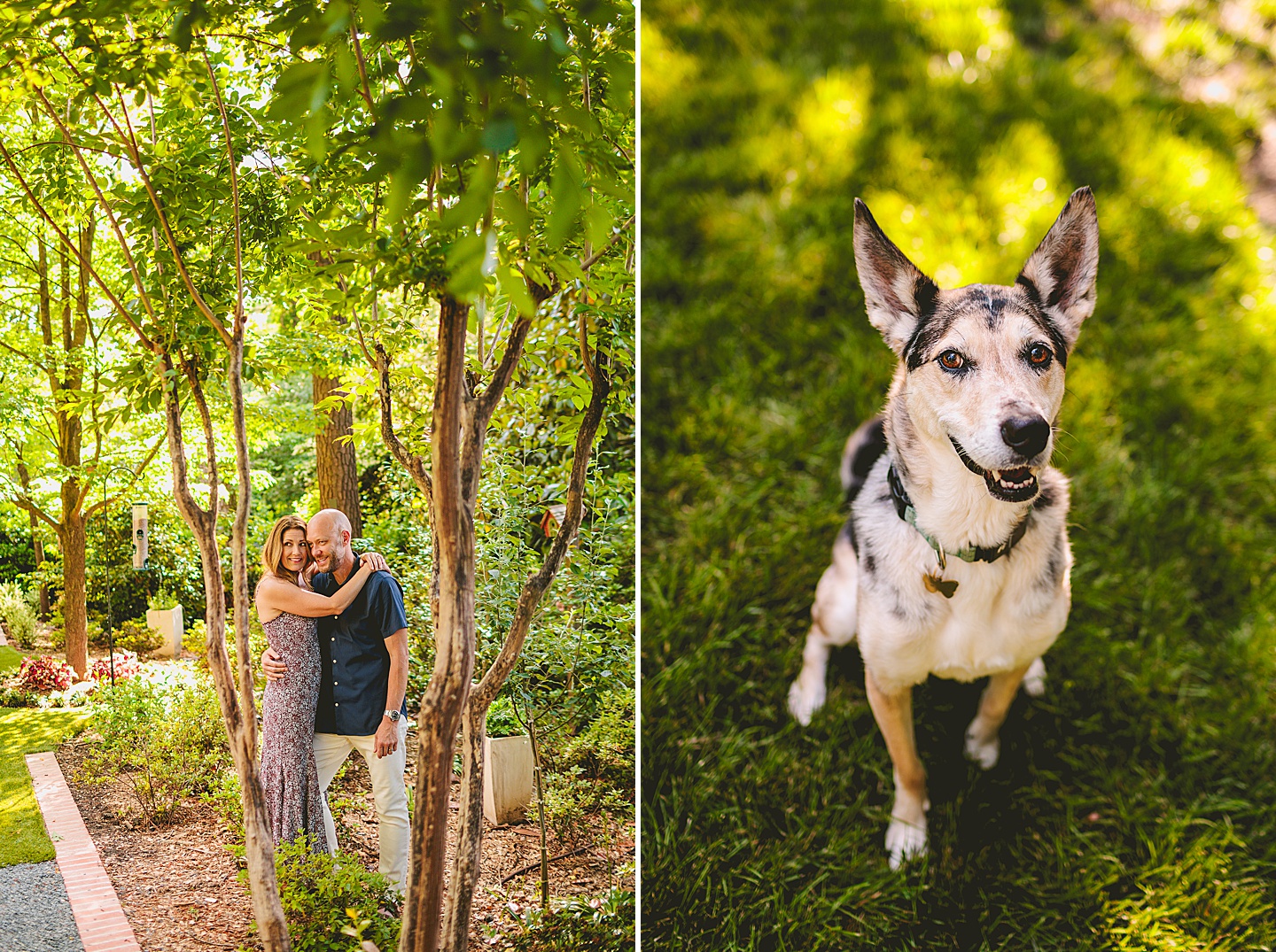Family Photographer - Quentin + Lady // Backyard Garden Couple Session