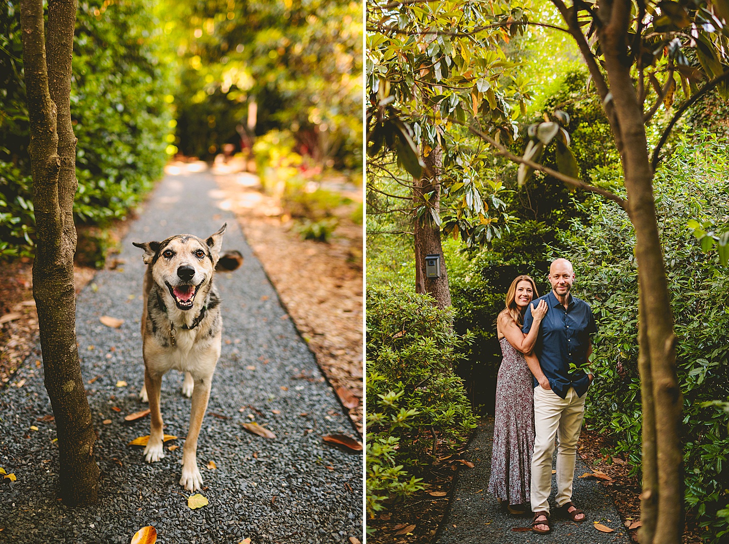 Family Photographer - Quentin + Lady // Backyard Garden Couple Session
