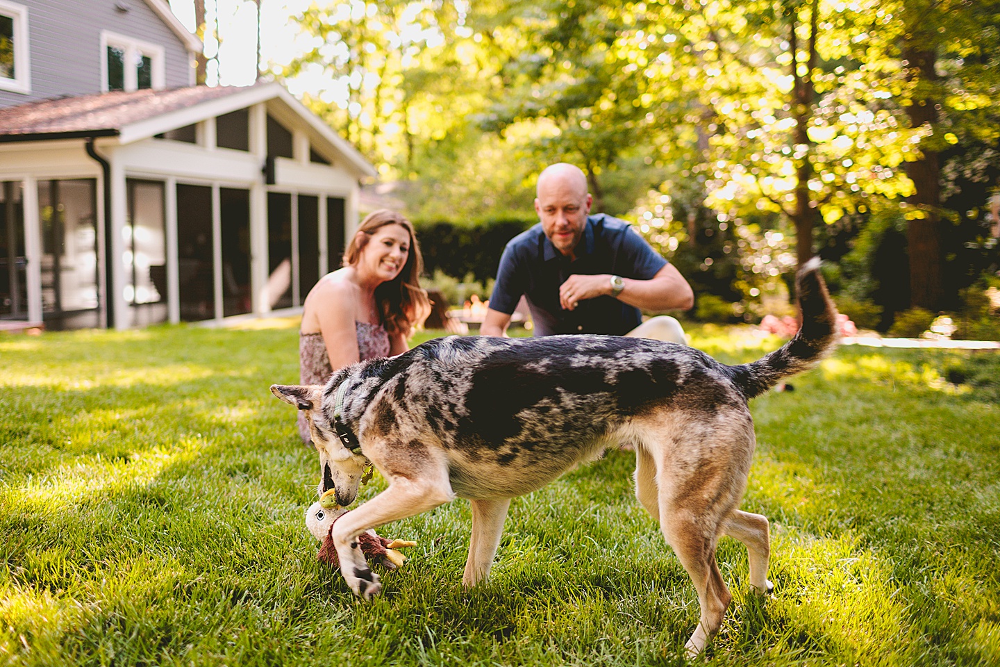 Family Photographer - Quentin + Lady // Backyard Garden Couple Session