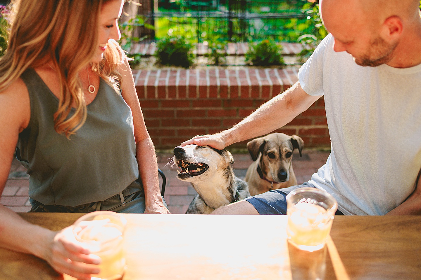 Family Photographer - Quentin + Lady // Backyard Garden Couple Session