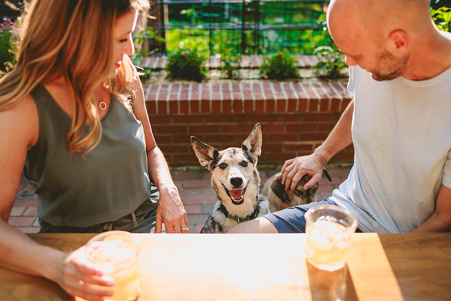Family Photographer - Quentin + Lady // Backyard Garden Couple Session