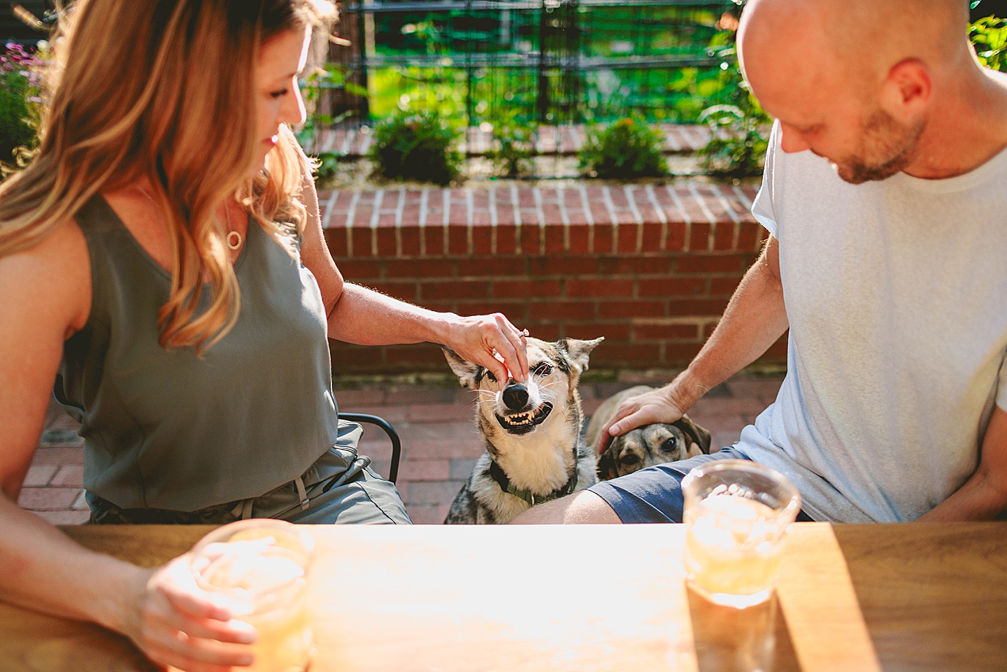 Family Photographer - Quentin + Lady // Backyard Garden Couple Session