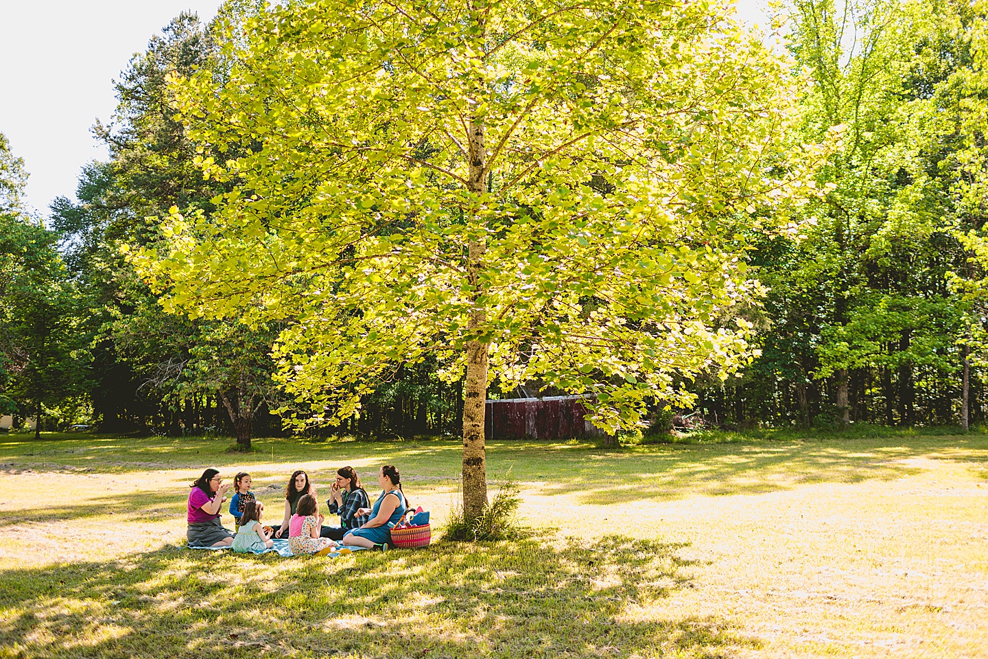 Family Photographer - Lucy, Bill + Mary // Family Photography
