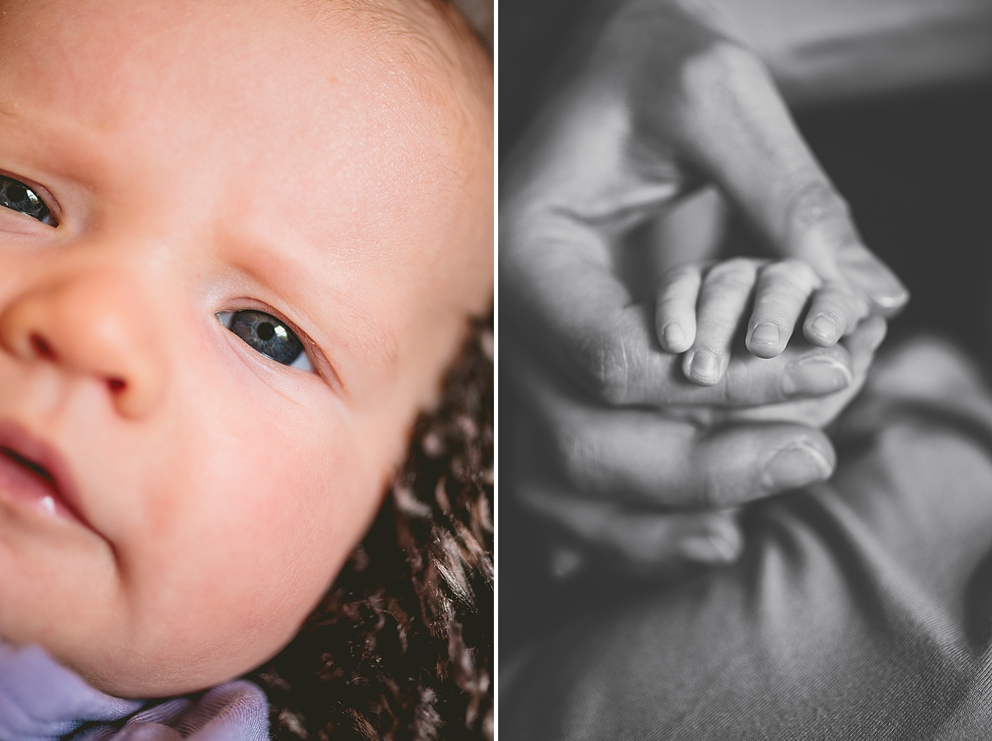 Family Photographer - Ariana + Kevin // Durham Newborn Portraits