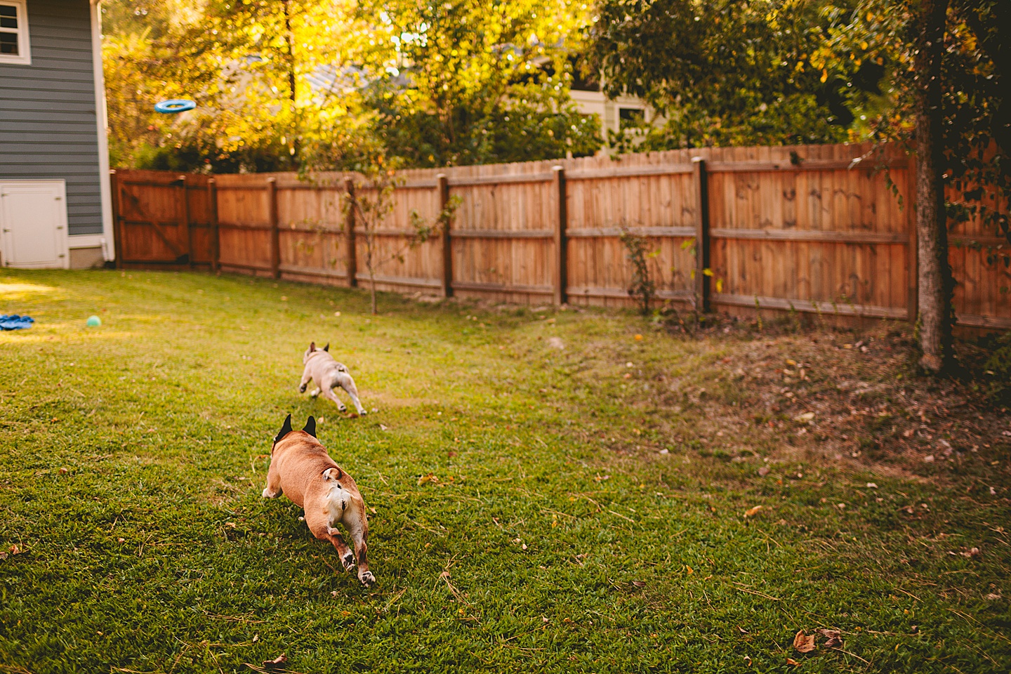 Family Photographer - Ariana + Kevin // Durham Newborn Portraits