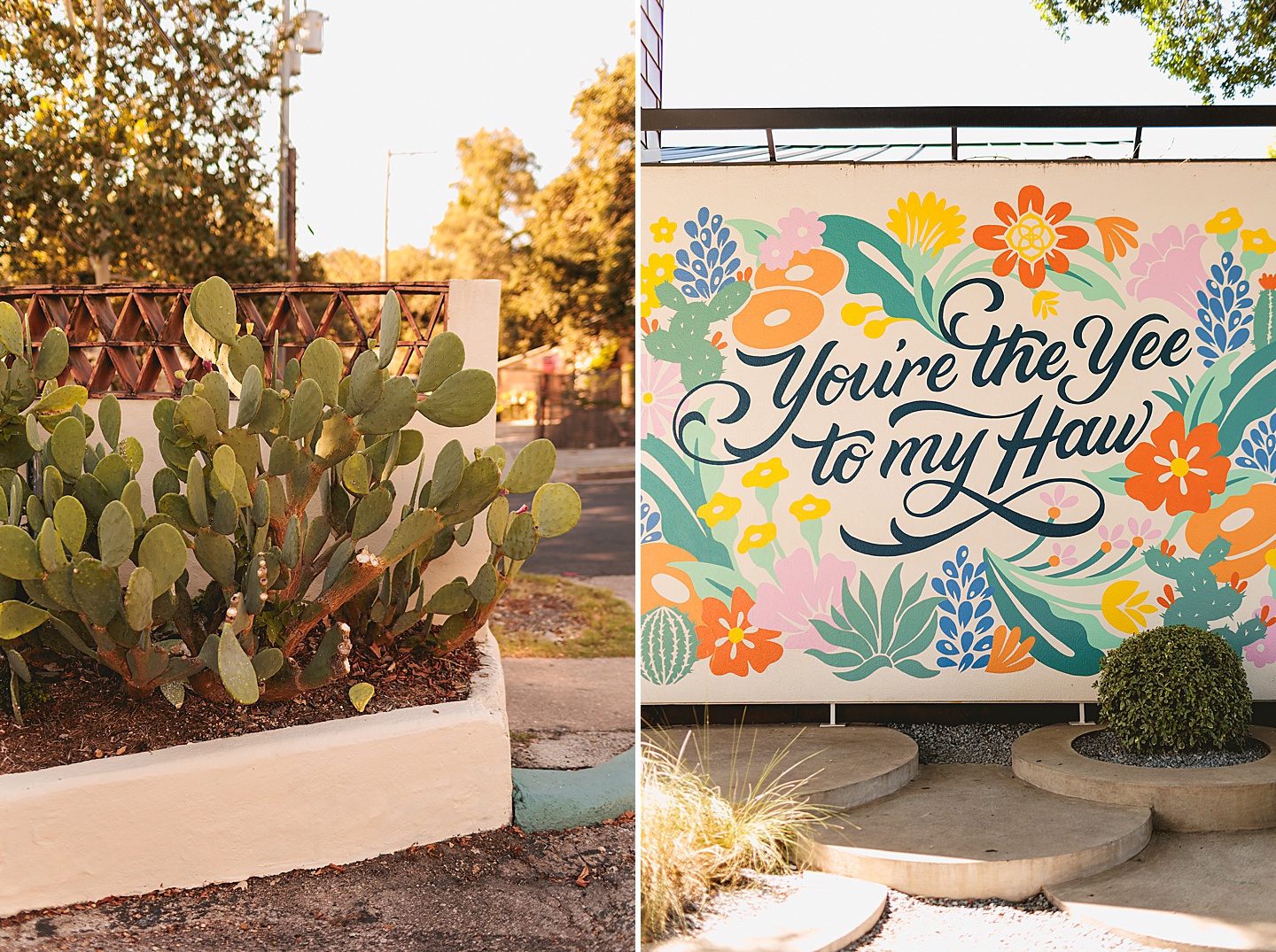 Branding Photographer - The Dirtbags in Austin // Go Sports