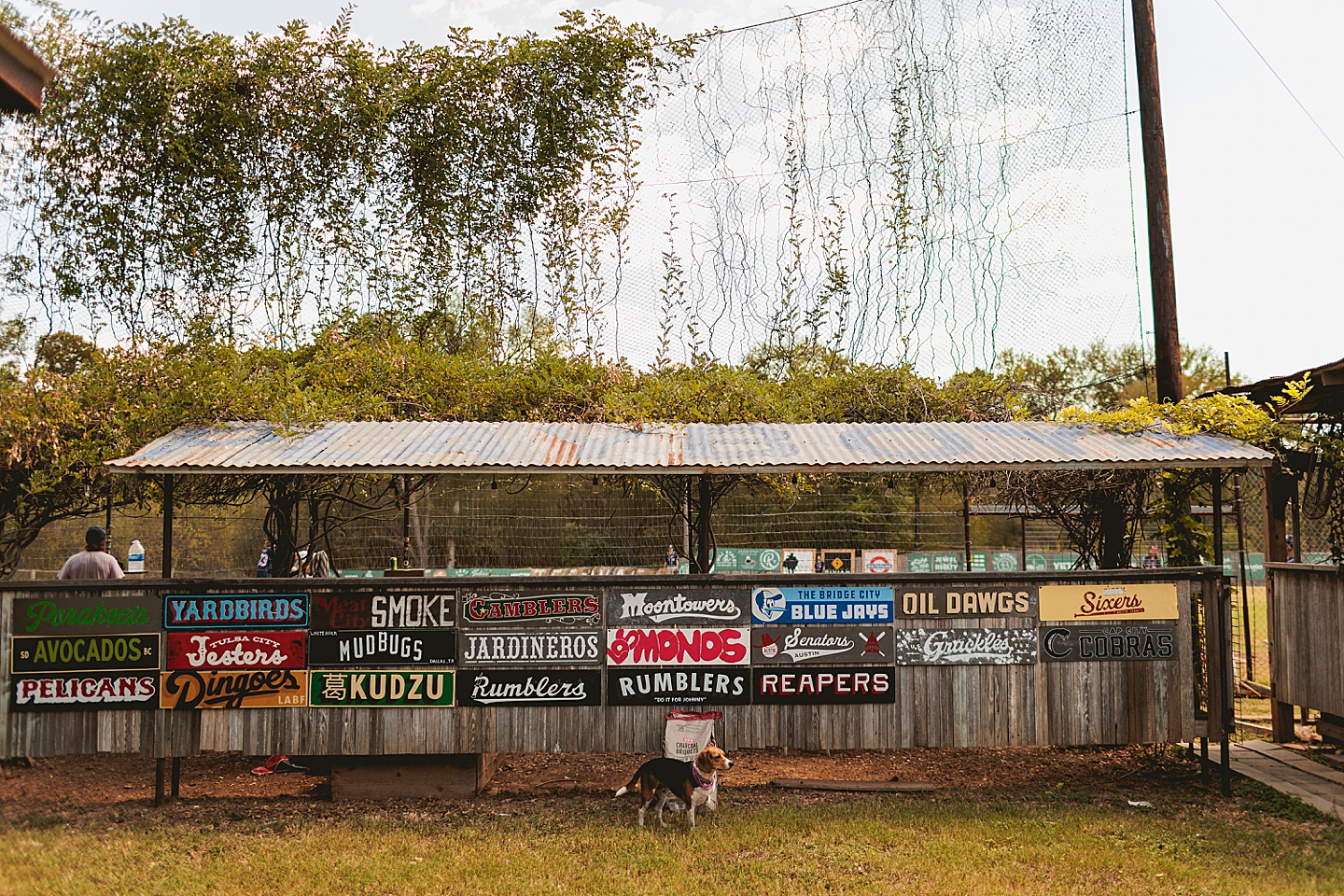 Branding Photographer - The Dirtbags in Austin // Go Sports