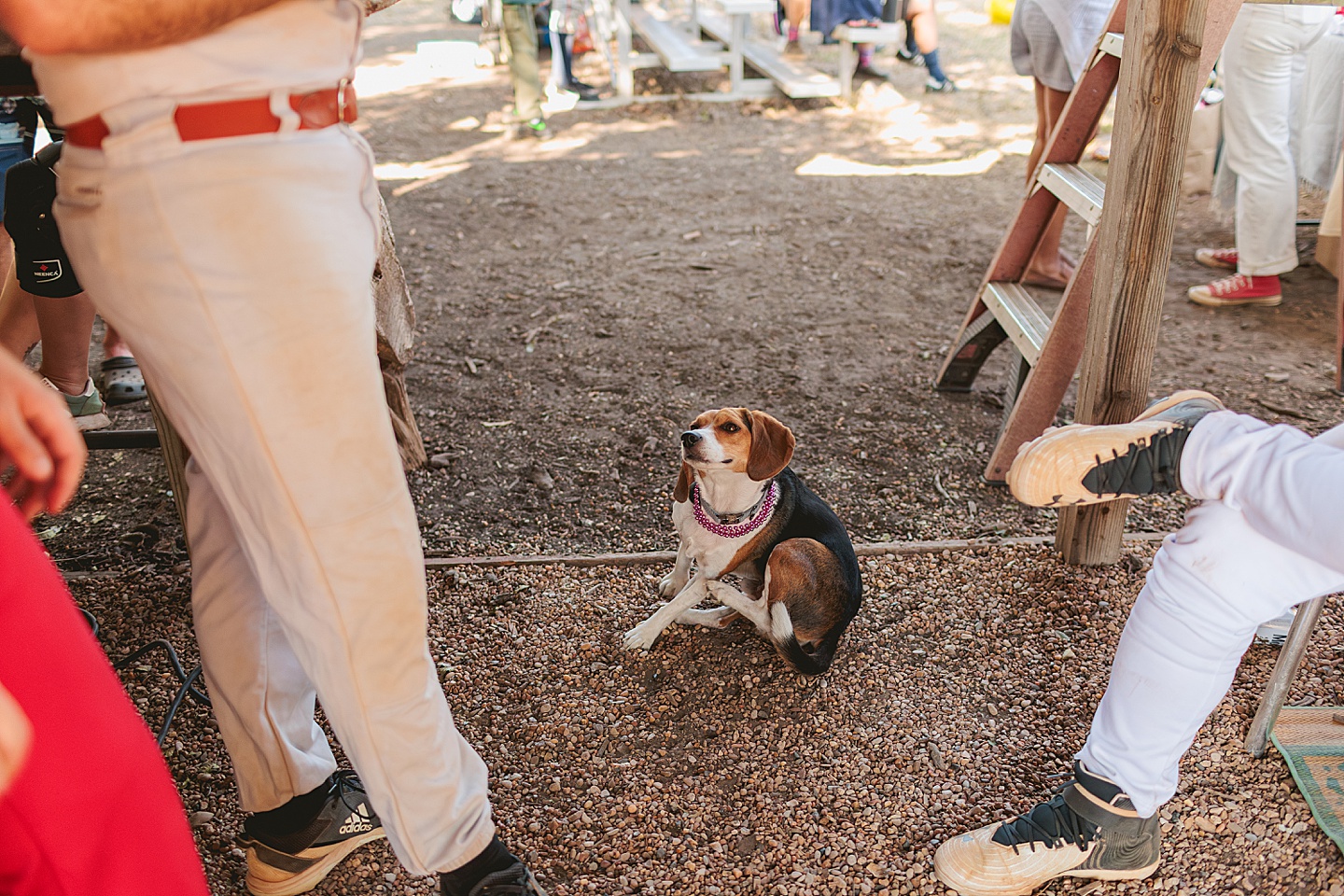 Branding Photographer - The Dirtbags in Austin // Go Sports
