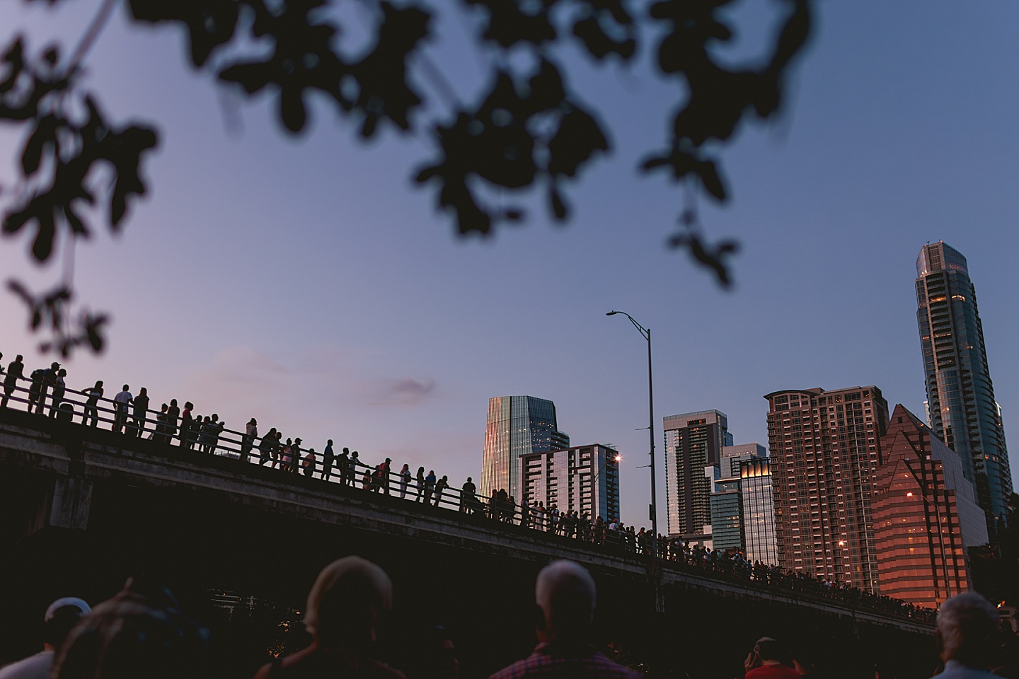 Branding Photographer - The Dirtbags in Austin // Go Sports