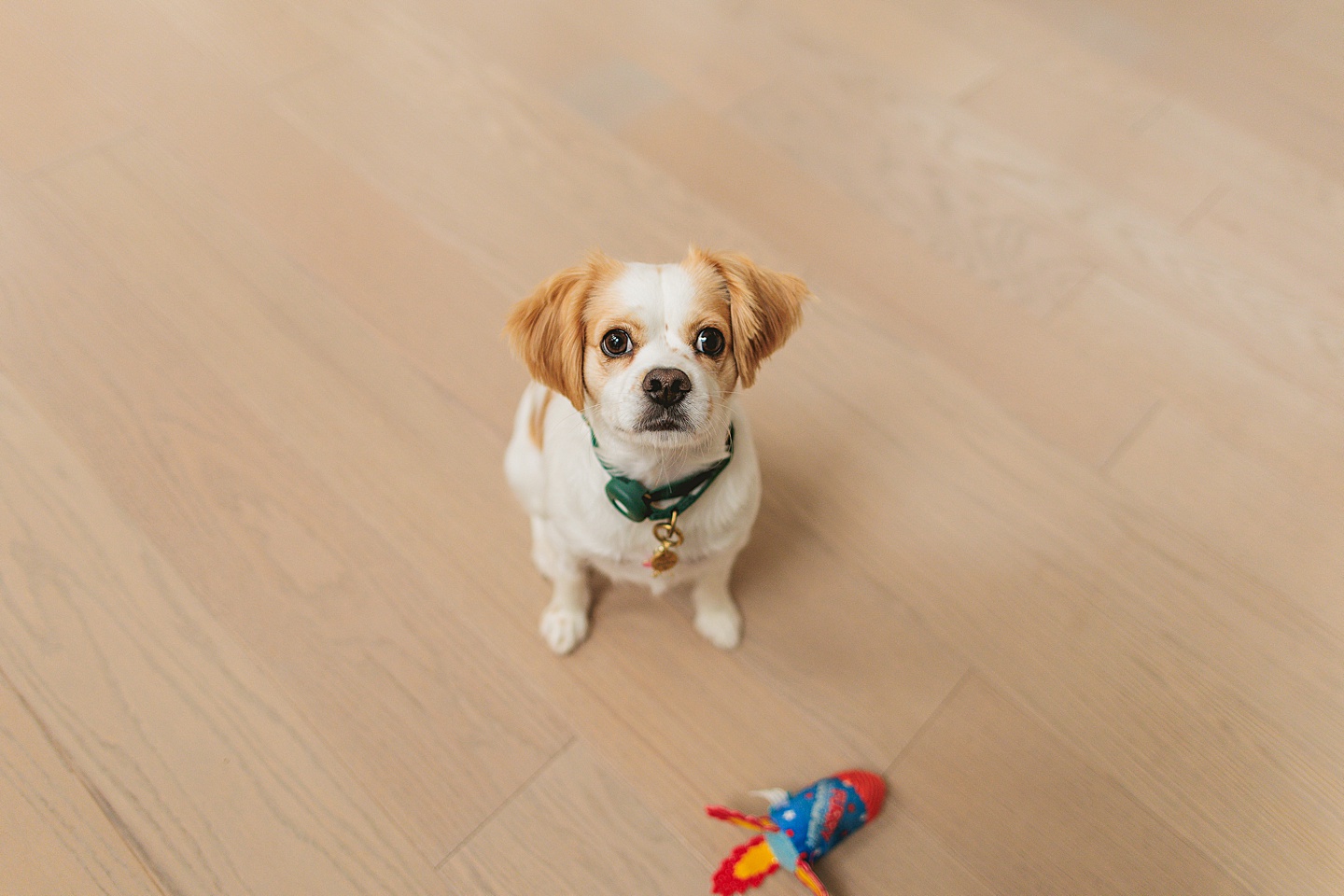 Couples - Andrea + Patrick // Durham, NC Couple Portraits