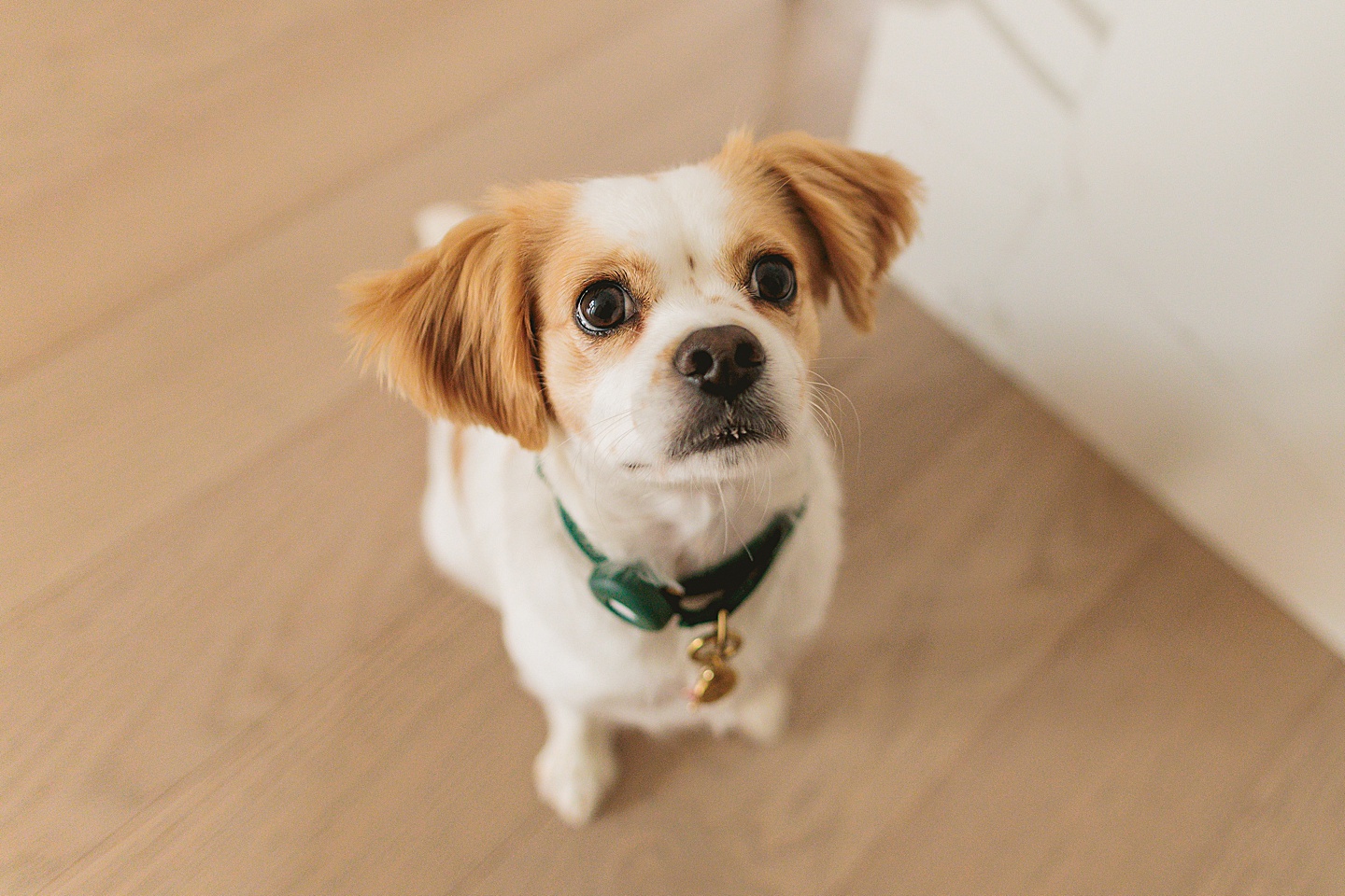 Couples - Andrea + Patrick // Durham, NC Couple Portraits