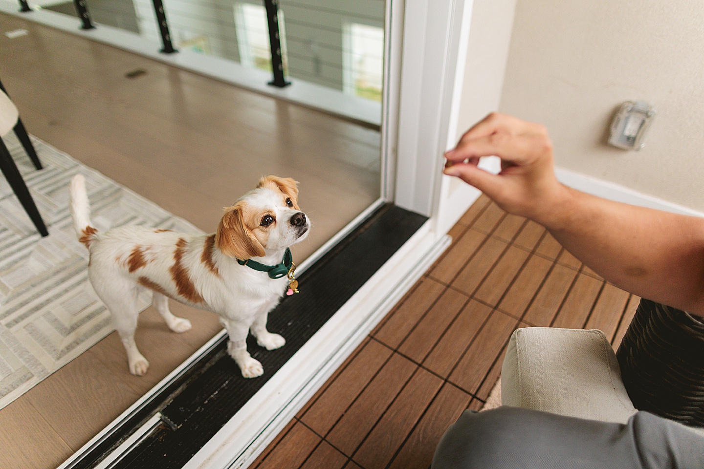 Couples - Andrea + Patrick // Durham, NC Couple Portraits
