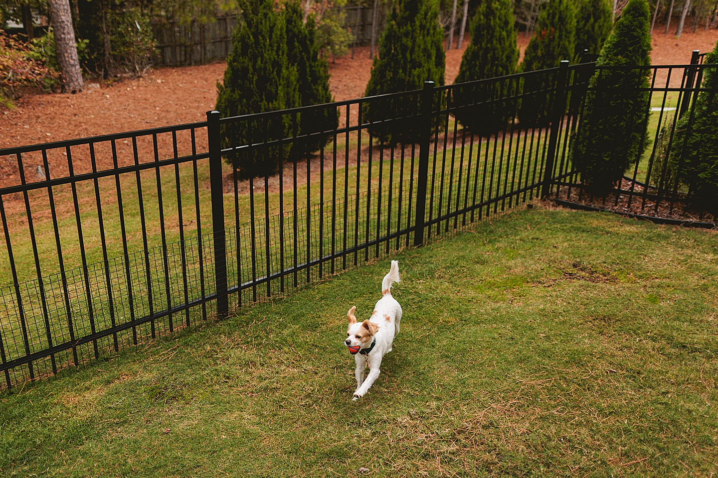 Couples - Andrea + Patrick // Durham, NC Couple Portraits