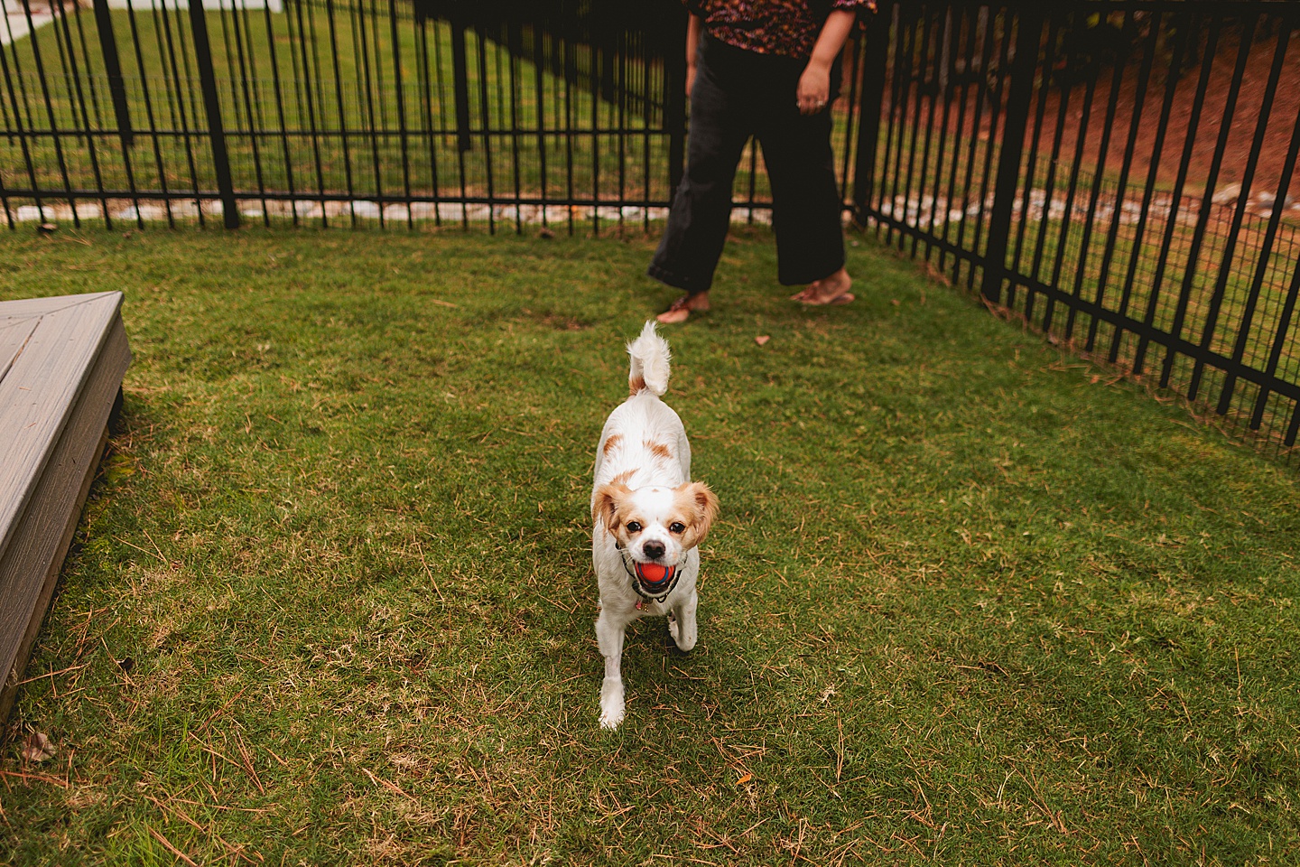 Couples - Andrea + Patrick // Durham, NC Couple Portraits