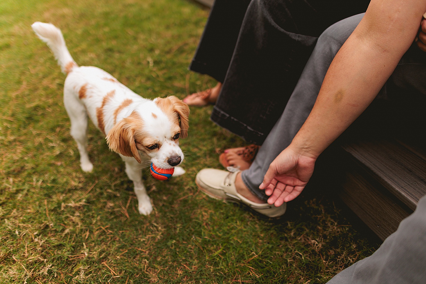 Couples - Andrea + Patrick // Durham, NC Couple Portraits
