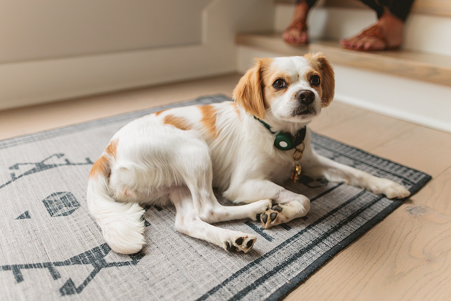 Couples - Andrea + Patrick // Durham, NC Couple Portraits