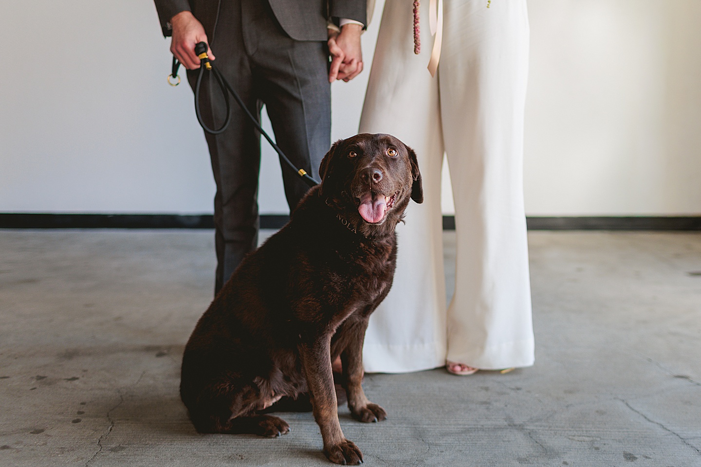 Couples - Adair + Andrew // Durham Newlywed Portraits