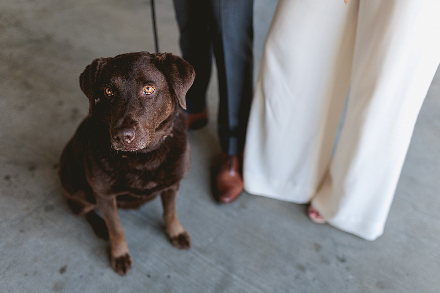 Couples - Adair + Andrew // Durham Newlywed Portraits