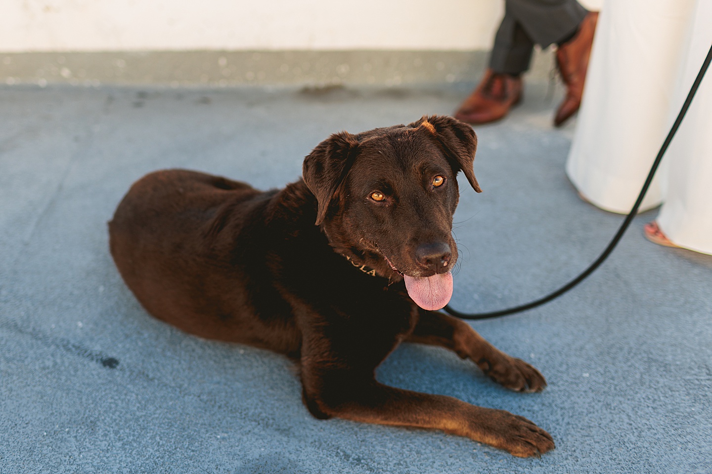 Couples - Adair + Andrew // Durham Newlywed Portraits