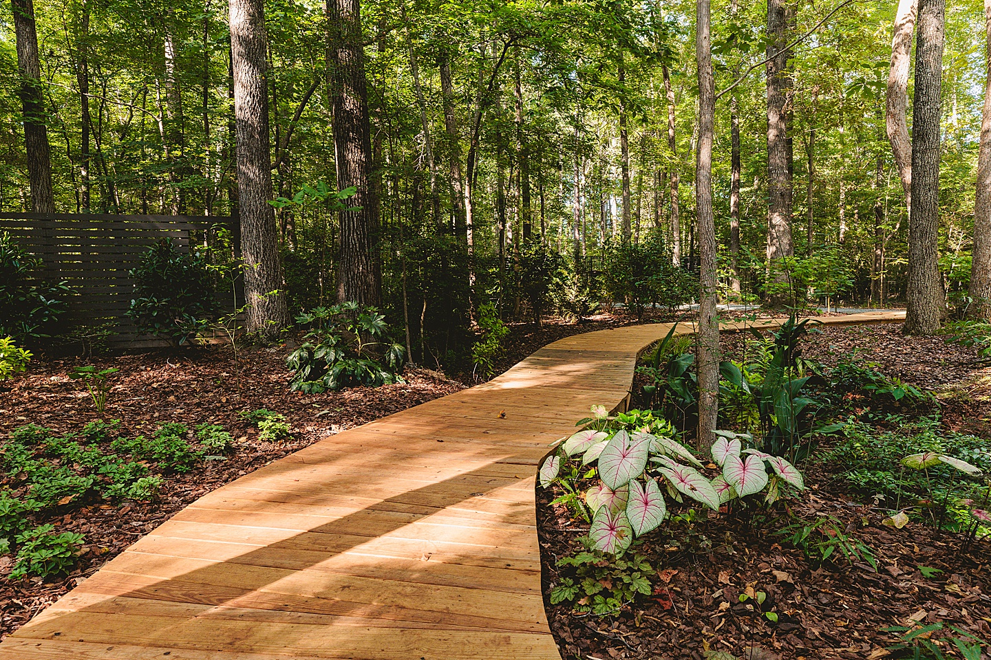 Branding Photographer - Gallagher Home // Editorial for Chapel Hill Magazine