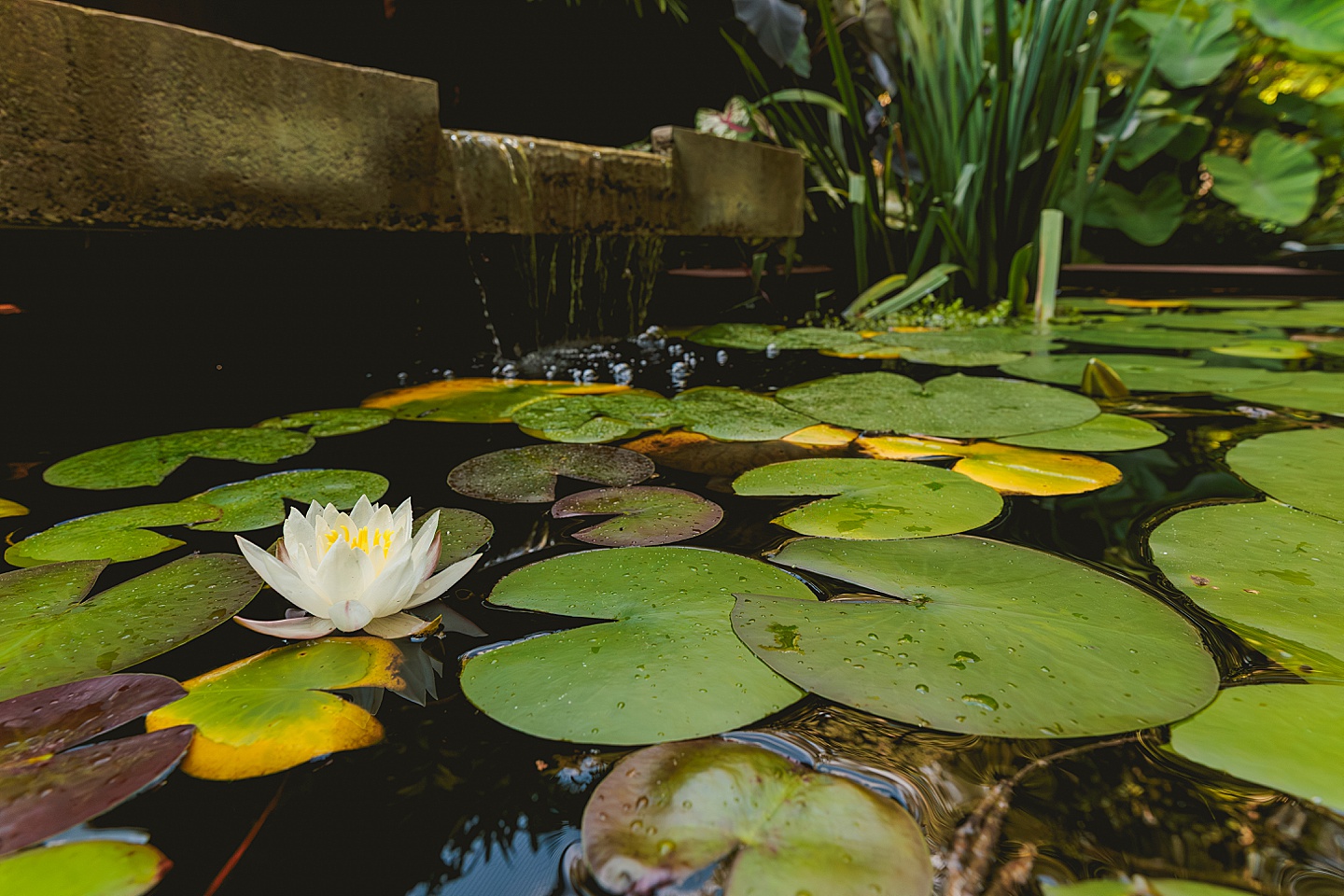 Branding Photographer - Gallagher Home // Editorial for Chapel Hill Magazine