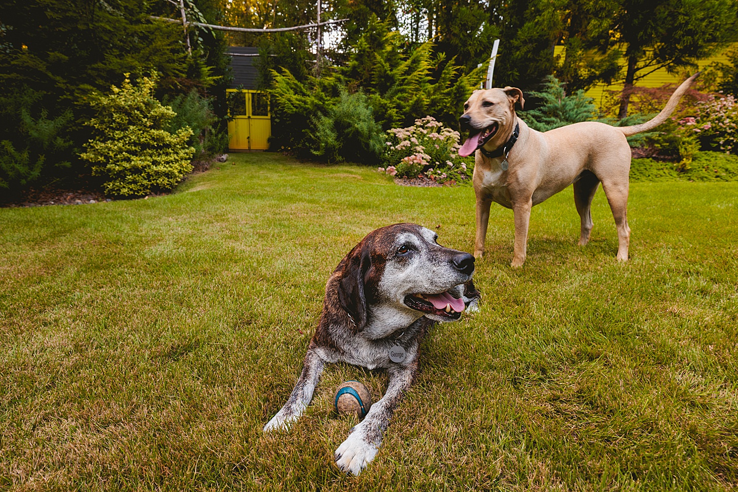 Branding Photographer - Gallagher Home // Editorial for Chapel Hill Magazine